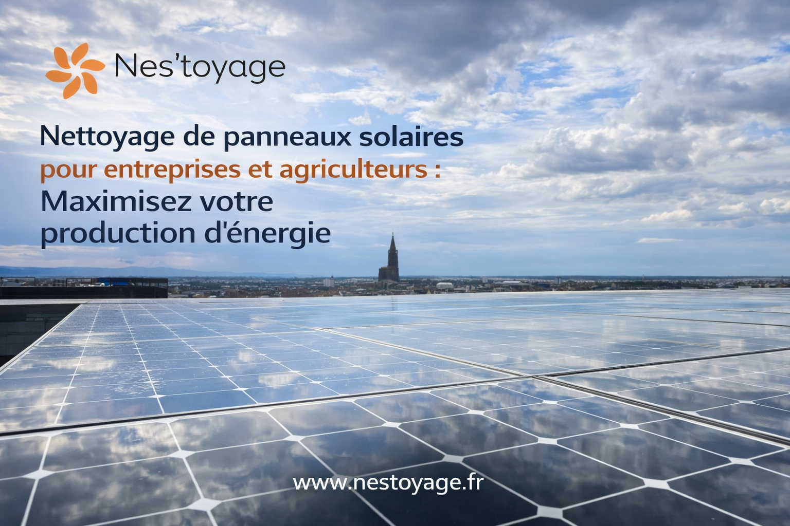1000000222 1 | Nes'toyage Nes’toyage : la solution pour les installations photovoltaïques abandonnées, non conformes ou mal exploitées Illkirch-Graffenstaden 0